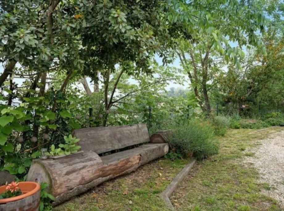 דירות Piobesi d'Alba La Casa Rosa מראה חיצוני תמונה